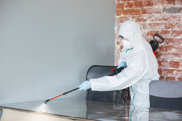 Professional Mold Inspection in Brunswick, GA